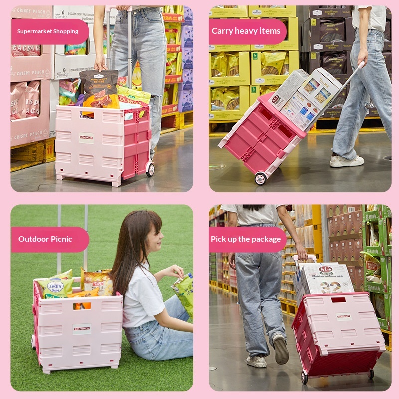 Portable Foldable Shopping Tro - đánh giá và giá Sports Equipment Trolley
