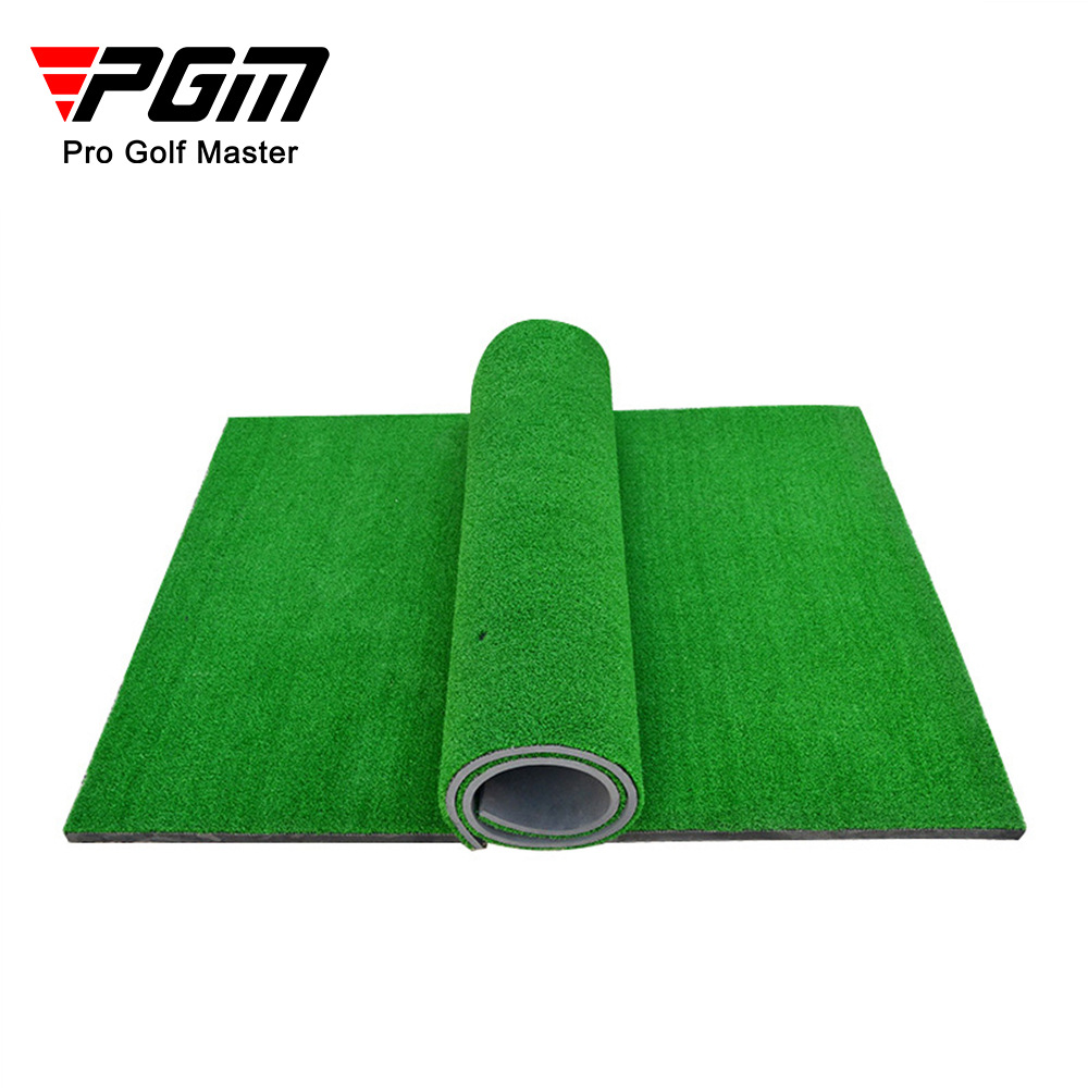 PGM-Indoor and Outdoor Golf Pr - đánh giá và giá Golf Putting Mat